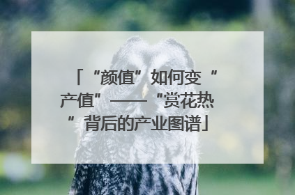 “颜值”如何变“产值”——“赏花热”背后的产业图谱