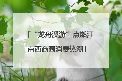 “龙舟溪游”点燃江南西商圈消费热潮