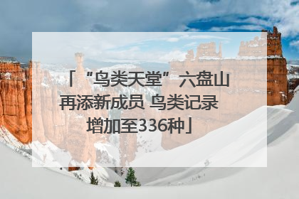 “鸟类天堂”六盘山再添新成员 鸟类记录增加至336种