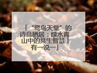 “鹭鸟天堂”的诗意栖居：绿水青山中的共生智慧丨有一说一