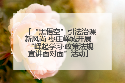 “黑悟空”引法治课新风尚 枣庄峄城开展“峄起学习·政策法规宣讲面对面”活动