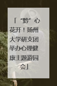 “黔”心花开！扬州大学研支团举办心理健康主题游园会