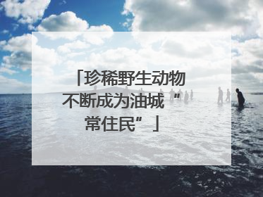 珍稀野生动物不断成为油城“常住民”