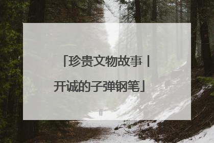 珍贵文物故事丨开诚的子弹钢笔