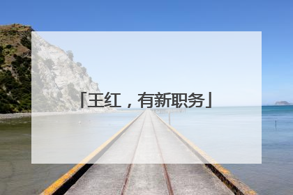 王红，有新职务