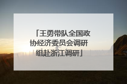 王勇带队全国政协经济委员会调研组赴浙江调研