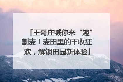 王哥庄喊你来“趣”割麦！麦田里的丰收狂欢，解锁田园新体验