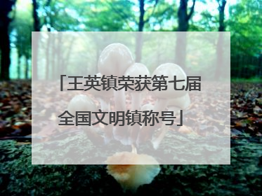 王英镇荣获第七届全国文明镇称号