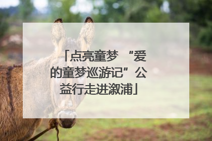 点亮童梦 “爱的童梦巡游记”公益行走进溆浦