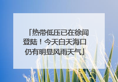 热带低压已在徐闻登陆！今天白天海口仍有明显风雨天气