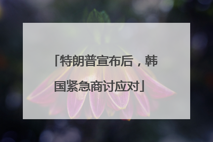 特朗普宣布后，韩国紧急商讨应对
