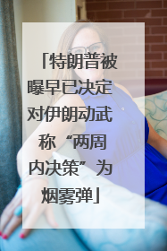 特朗普被曝早已决定对伊朗动武 称“两周内决策”为烟雾弹