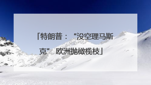 特朗普：“没空理马斯克” 欧洲抛橄榄枝