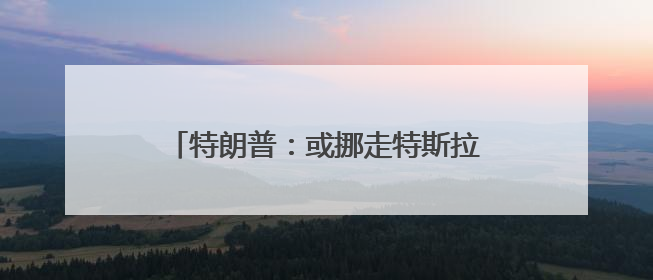特朗普：或挪走特斯拉 但还会用“星链”