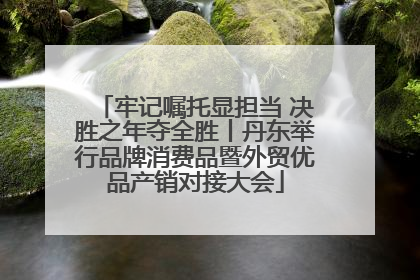 牢记嘱托显担当 决胜之年夺全胜丨丹东举行品牌消费品暨外贸优品产销对接大会