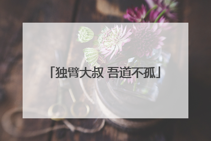 独臂大叔 吾道不孤