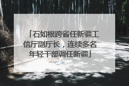石如根跨省任新疆工信厅副厅长，连续多名年轻干部调任新疆