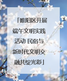 睢阳区开展端午文明实践活动 民俗与新时代文明交融共绽光彩