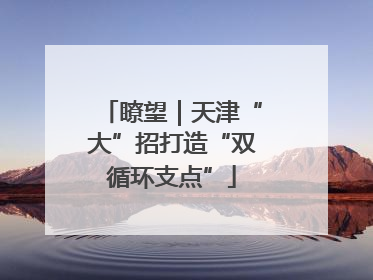 瞭望｜天津“大”招打造“双循环支点”
