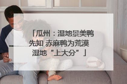 瓜州：湿地景美鸭先知 赤麻鸭为荒漠湿地“上大分”