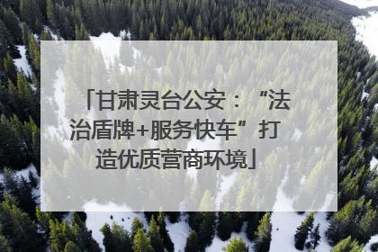 甘肃灵台公安：“法治盾牌+服务快车”打造优质营商环境