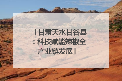 甘肃天水甘谷县：科技赋能辣椒全产业链发展