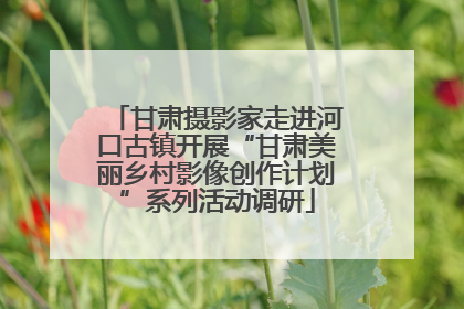 甘肃摄影家走进河口古镇开展“甘肃美丽乡村影像创作计划”系列活动调研