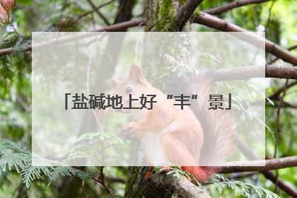 盐碱地上好“丰”景