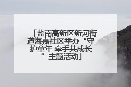 盐南高新区新河街道海嘉社区举办“守护童年 牵手共成长”主题活动