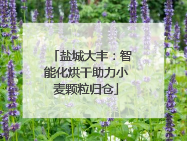 盐城大丰：智能化烘干助力小麦颗粒归仓