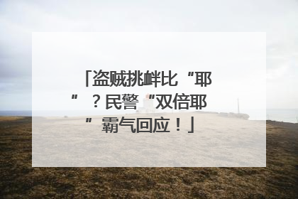 盗贼挑衅比“耶”？民警“双倍耶”霸气回应！