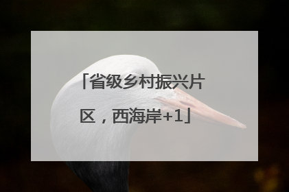 省级乡村振兴片区，西海岸+1