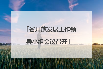 省开放发展工作领导小组会议召开