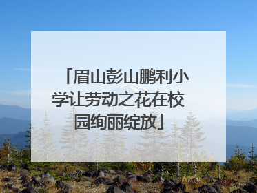 眉山彭山鹏利小学让劳动之花在校园绚丽绽放