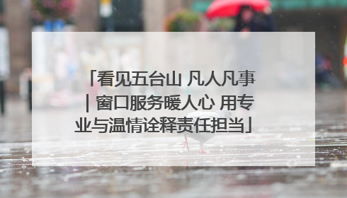 看见五台山 凡人凡事｜窗口服务暖人心 用专业与温情诠释责任担当