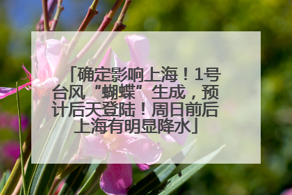 确定影响上海！1号台风“蝴蝶”生成，预计后天登陆！周日前后上海有明显降水