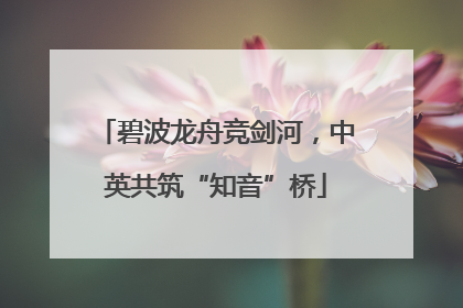 碧波龙舟竞剑河，中英共筑“知音”桥