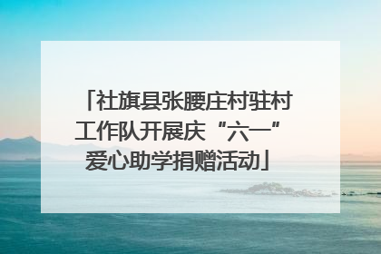 社旗县张腰庄村驻村工作队开展庆“六一”爱心助学捐赠活动