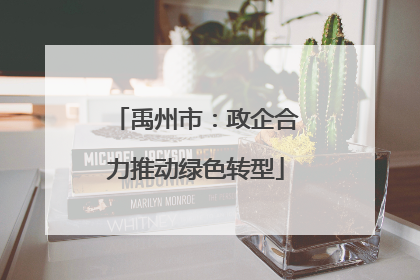禹州市：政企合力推动绿色转型