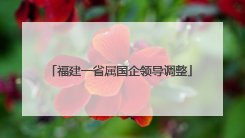 福建一省属国企领导调整