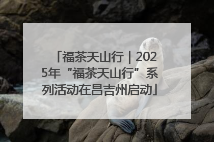 福茶天山行｜2025年“福茶天山行”系列活动在昌吉州启动