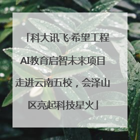 科大讯飞·希望工程AI教育启智未来项目走进云南五校，会泽山区亮起科技星火