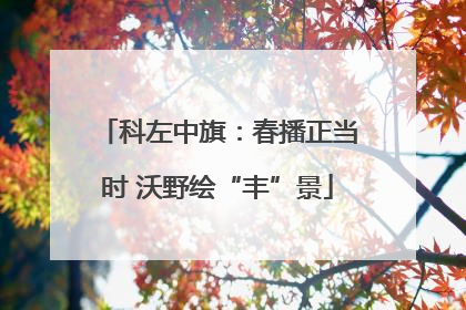 科左中旗：春播正当时 沃野绘“丰”景