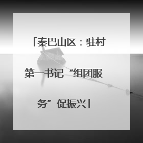 秦巴山区：驻村第一书记“组团服务”促振兴