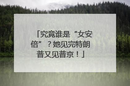 究竟谁是“女安倍”？她见完特朗普又见普京！