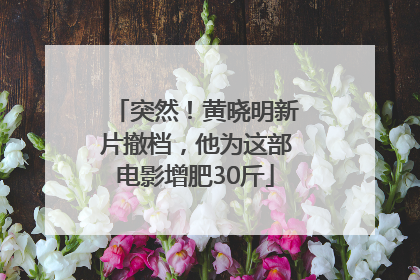 突然！黄晓明新片撤档，他为这部电影增肥30斤