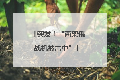 突发！“两架俄战机被击中”