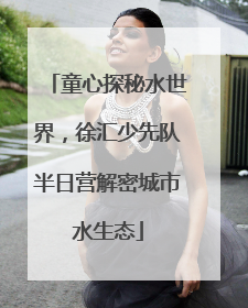 童心探秘水世界，徐汇少先队半日营解密城市水生态