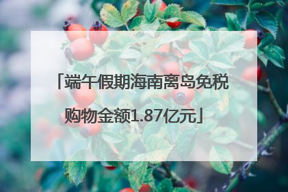 端午假期海南离岛免税购物金额1.87亿元