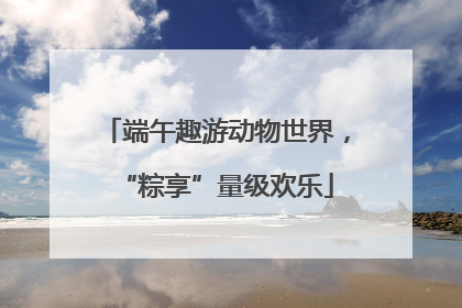 端午趣游动物世界，“粽享”量级欢乐